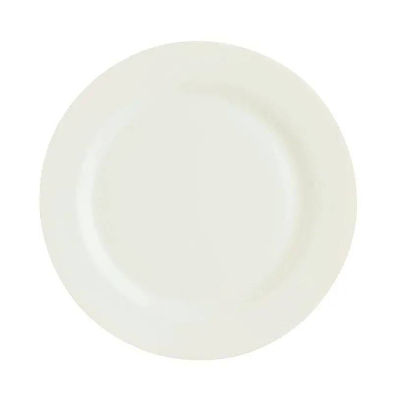 Arcoroc Zenix Intensity 10-Inch Banquet Plate – Durable Ceramic, Case Of 12 1