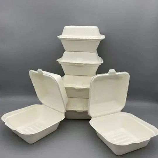 Eco-Friendly Sugarcane Bagasse Containers – 6" X 6" X 3" (Wide), 400 Ct | Sc1661-Gv | Denson Cfe 1