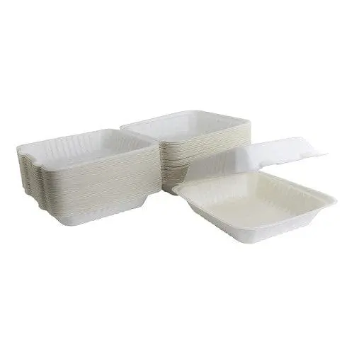 Efco Compostable Food Containers – 8" × 8" × 3", Eco-Friendly, 200-Count Case 1