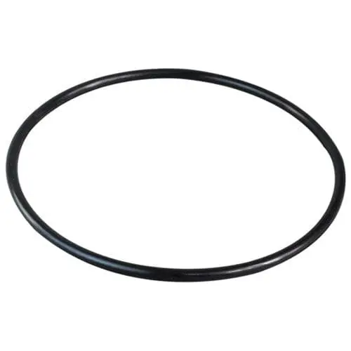 Everpure 151120 Buna-N #241 O-Ring – Synthetic Rubber, Upc Bulk Pack | Denson Cfe 1