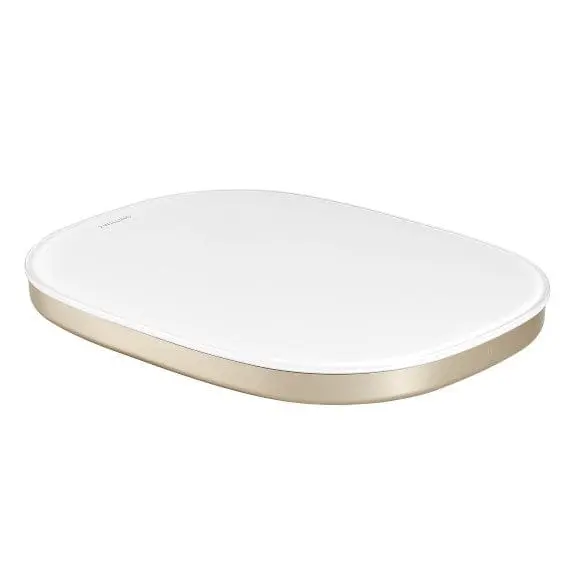 Zwilling Enfinigy Smart Kitchen Scale – Gold-Finished Digital Scale With High Accuracy | Denson Cfe 1