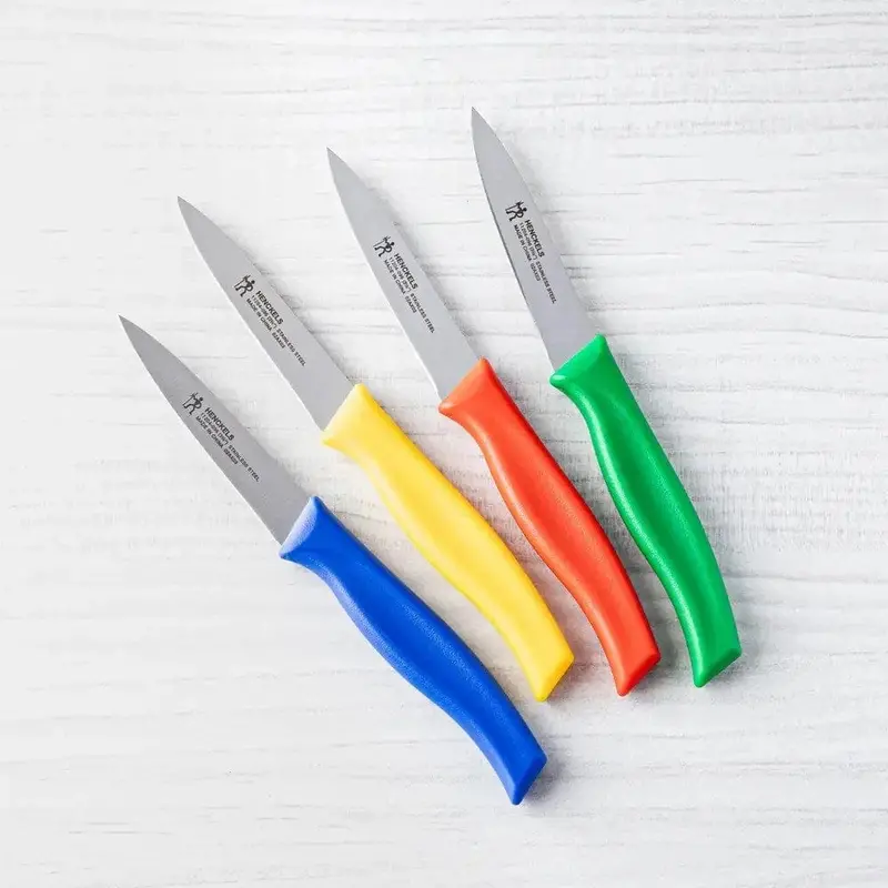 Zwilling Kitchen Elements 3.5-Inch Paring Knife – Stainless Steel Blade, Ergonomic Handle | Denson Cfe 1